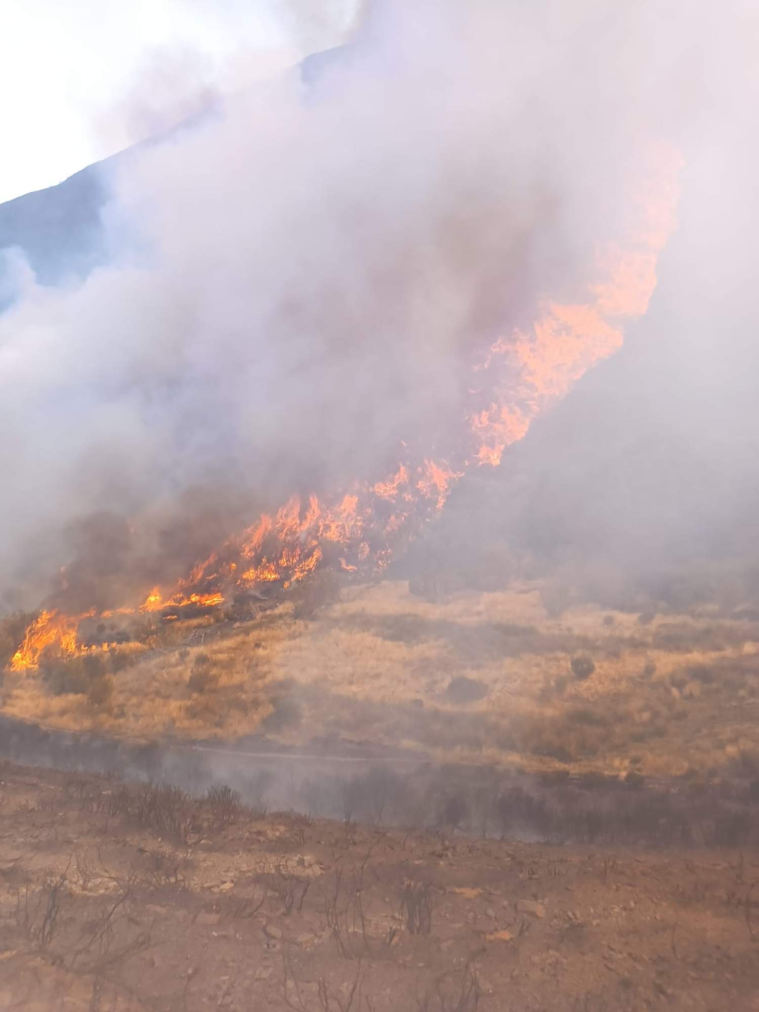 Incendio Llamas de Cabrera 3