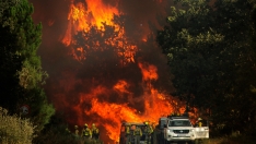 Estas son las carreteras cortadas por los incendios en la provincia de León | Jose Vicente / ICAL 