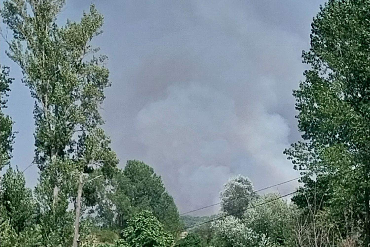 Incendio Forestal de Canalejas visto desde Almanza | X: @esther41280 Incendio Forestal de Canalejas visto desde Almanza | X: @esther41280