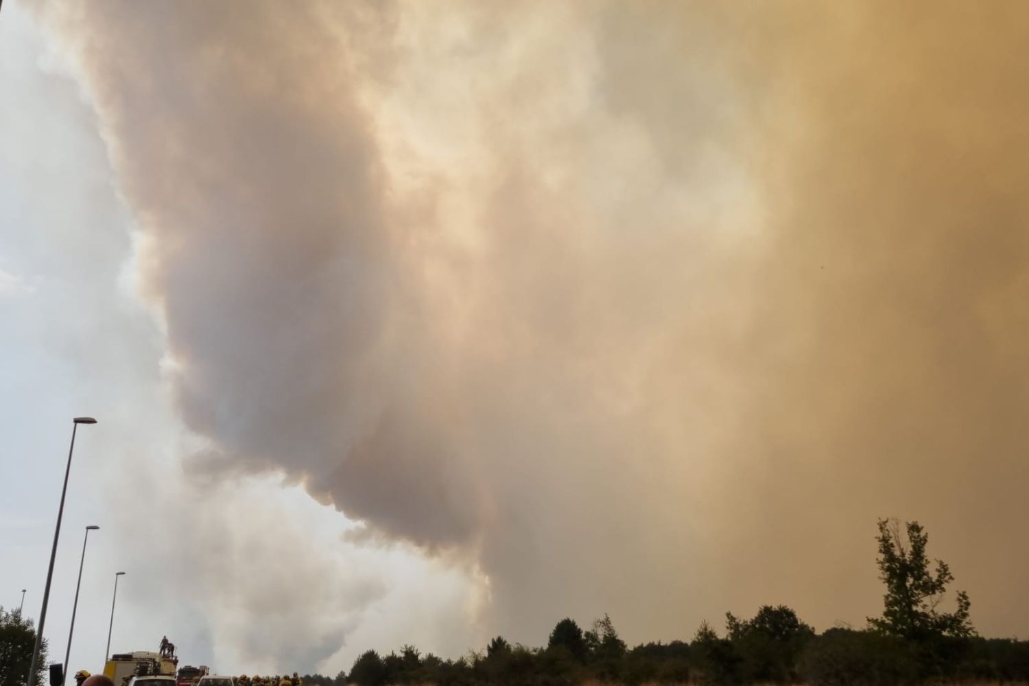 Incendio Forestal en Canalejas 