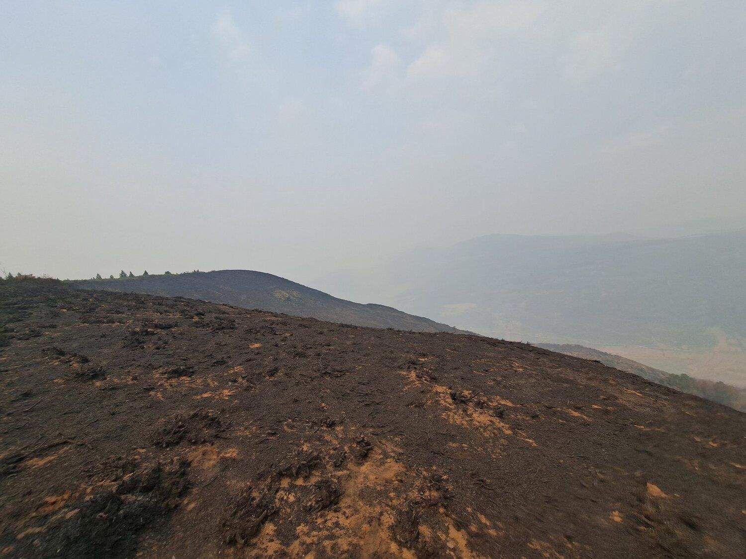 Zona afectada por el incendio de Orallo, en Villablino | Diputación de León Zona afectada por el incendio de Orallo, en Villablino | Diputación de León