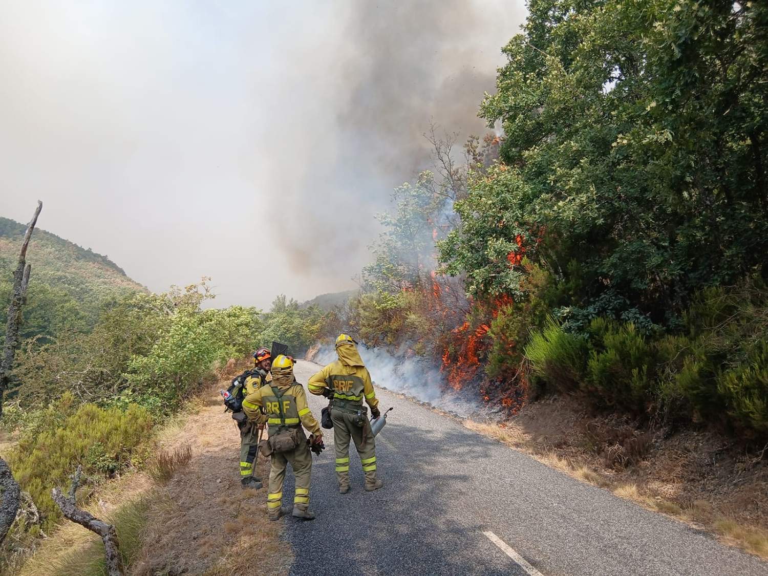 Incendio de Yeres/Llamas de Cabrera en Pobladura de la Sierra
