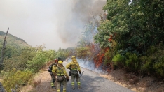 Incendio de Yeres/Llamas de Cabrera en Pobladura de la Sierra