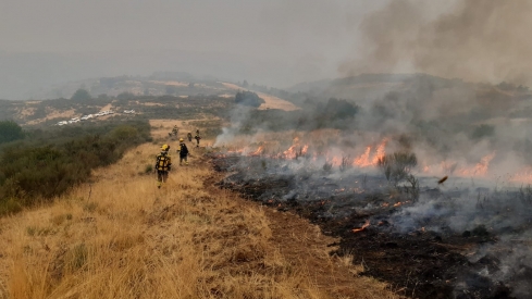 Incendio de Llamas de Cabrera | La Junta anuncia que el operativo de lucha contra los incendios será completamente público en tres años