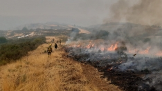 Incendio de Llamas de Cabrera | La Junta anuncia que el operativo de lucha contra los incendios será completamente público en tres años
