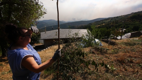 Incendio proveniente de Orense se acerca a Corullón (4)