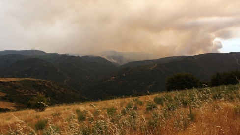 Incendio proveniente de Orense se acerca a Corullón (12)