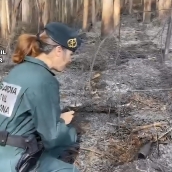 Investigado un hombre de 69 años por su presunta implicación en el incendio entre Villaverde de los Cestos y Almázcara