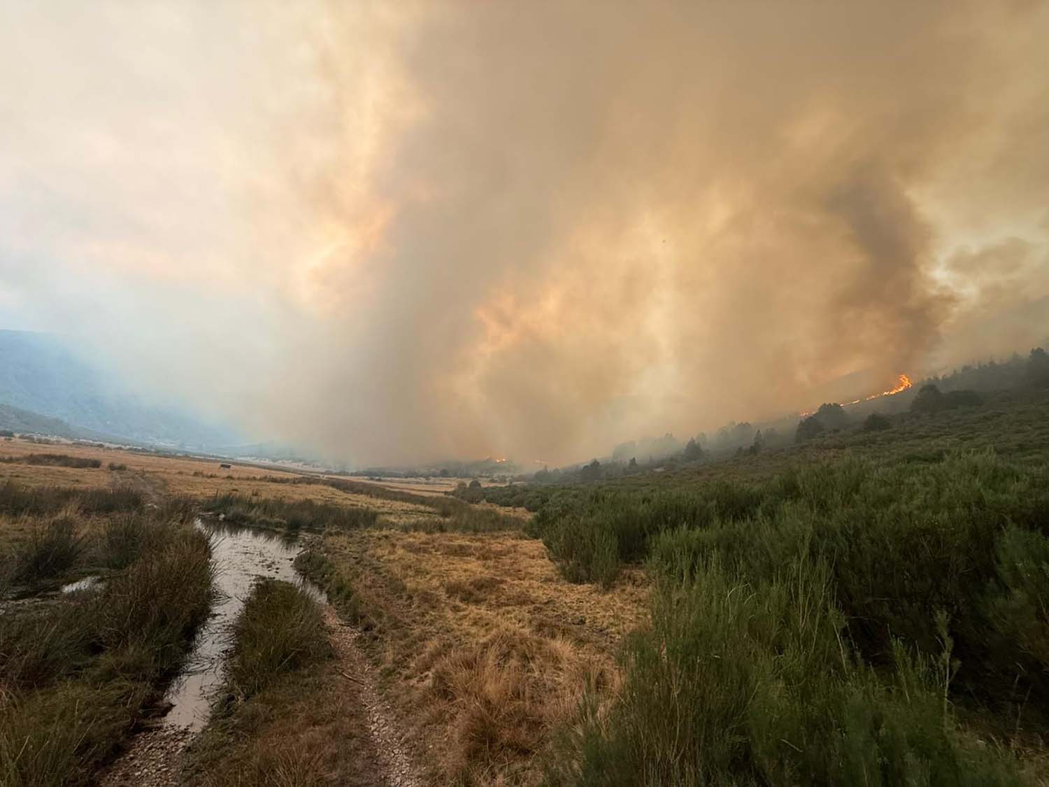 Incendio en Colinas del Campo. Cedidas a InfoBierzo (1)