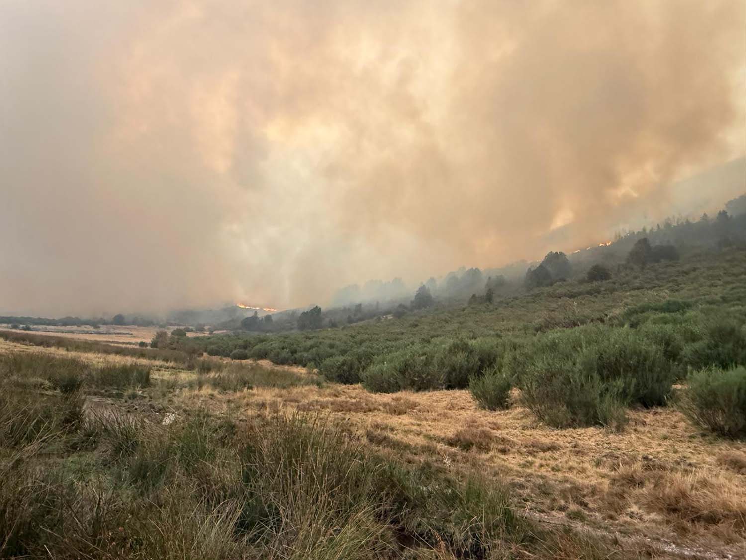 Incendio en Colinas del Campo. Cedidas a InfoBierzo