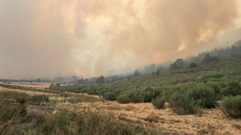 Incendio en Colinas del Campo. Cedida a InfoBierzo