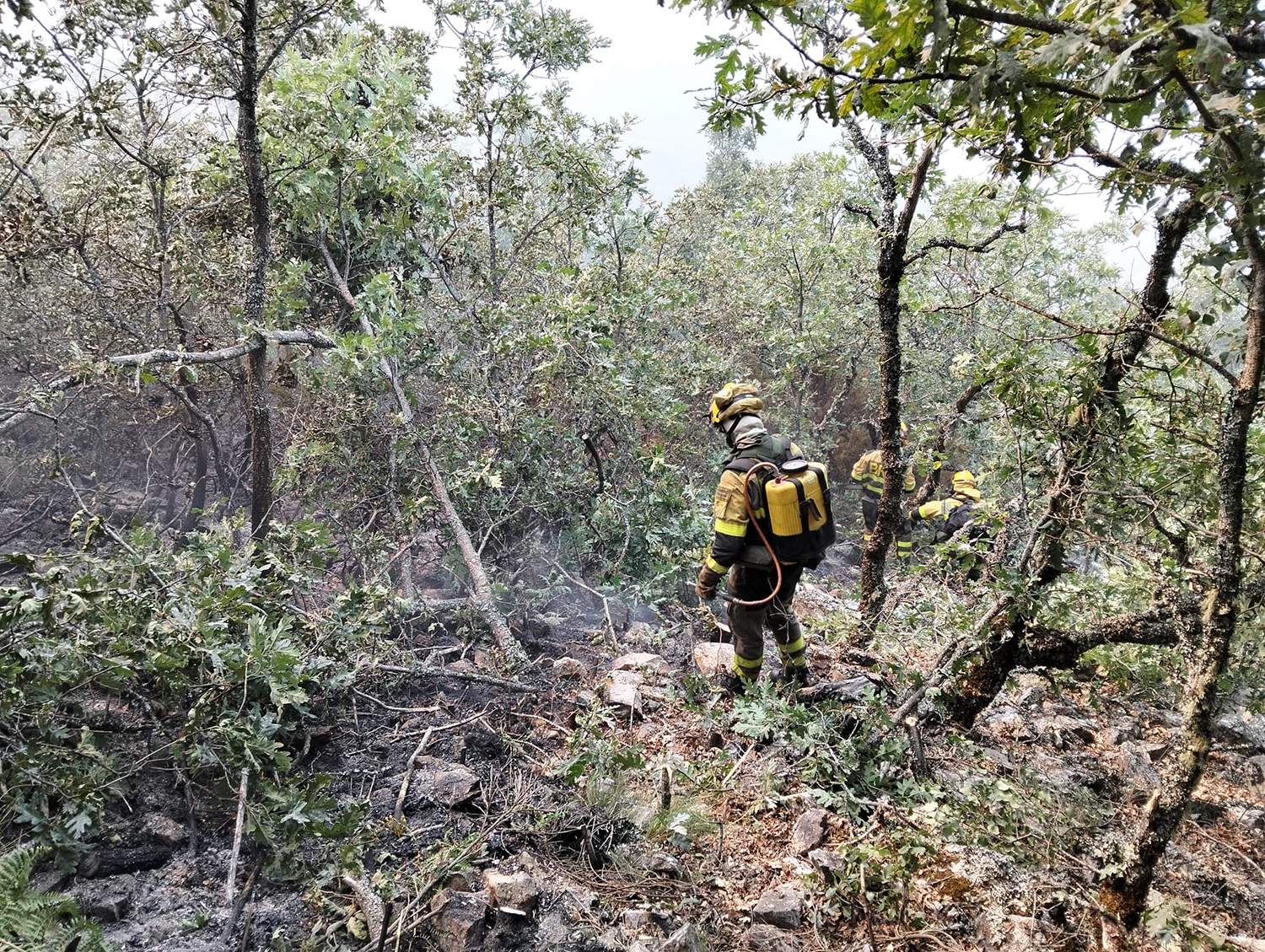Incendio de Llamas de Cabrera Incendio de Llamas de Cabrera