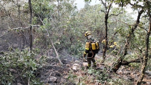 Incendio de Llamas de Cabrera