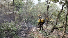 Incendio de Llamas de Cabrera