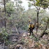 Incendio de Llamas de Cabrera Incendio de Llamas de Cabrera