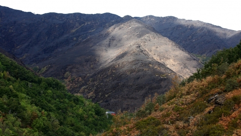 Efectos del incendio de Gestoso en Oencia (1)