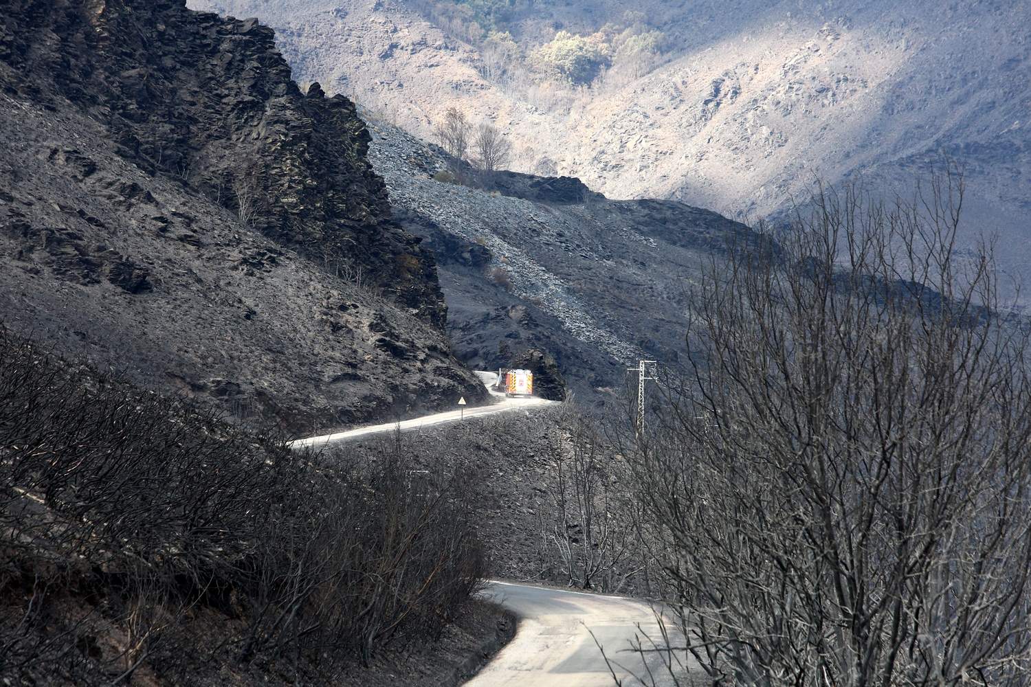 Efectos del incendio de Gestoso en Oencia (2)