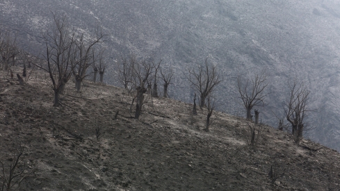 Efectos del incendio de Gestoso en Oencia (3)