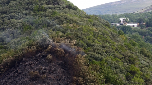 Efectos del incendio de Gestoso en Oencia (5)