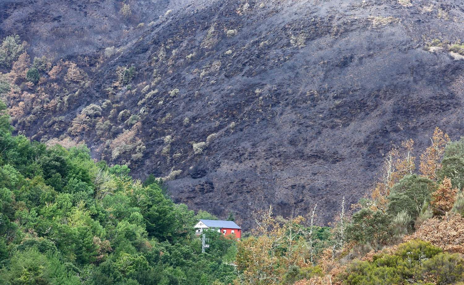 Efectos del incendio de Gestoso en Oencia (6)