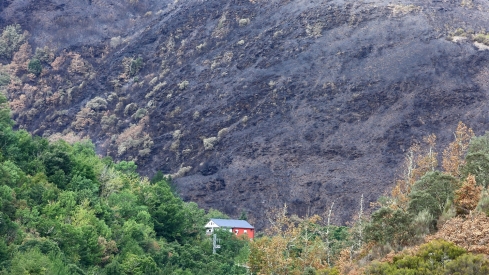 Efectos del incendio de Gestoso en Oencia (6)