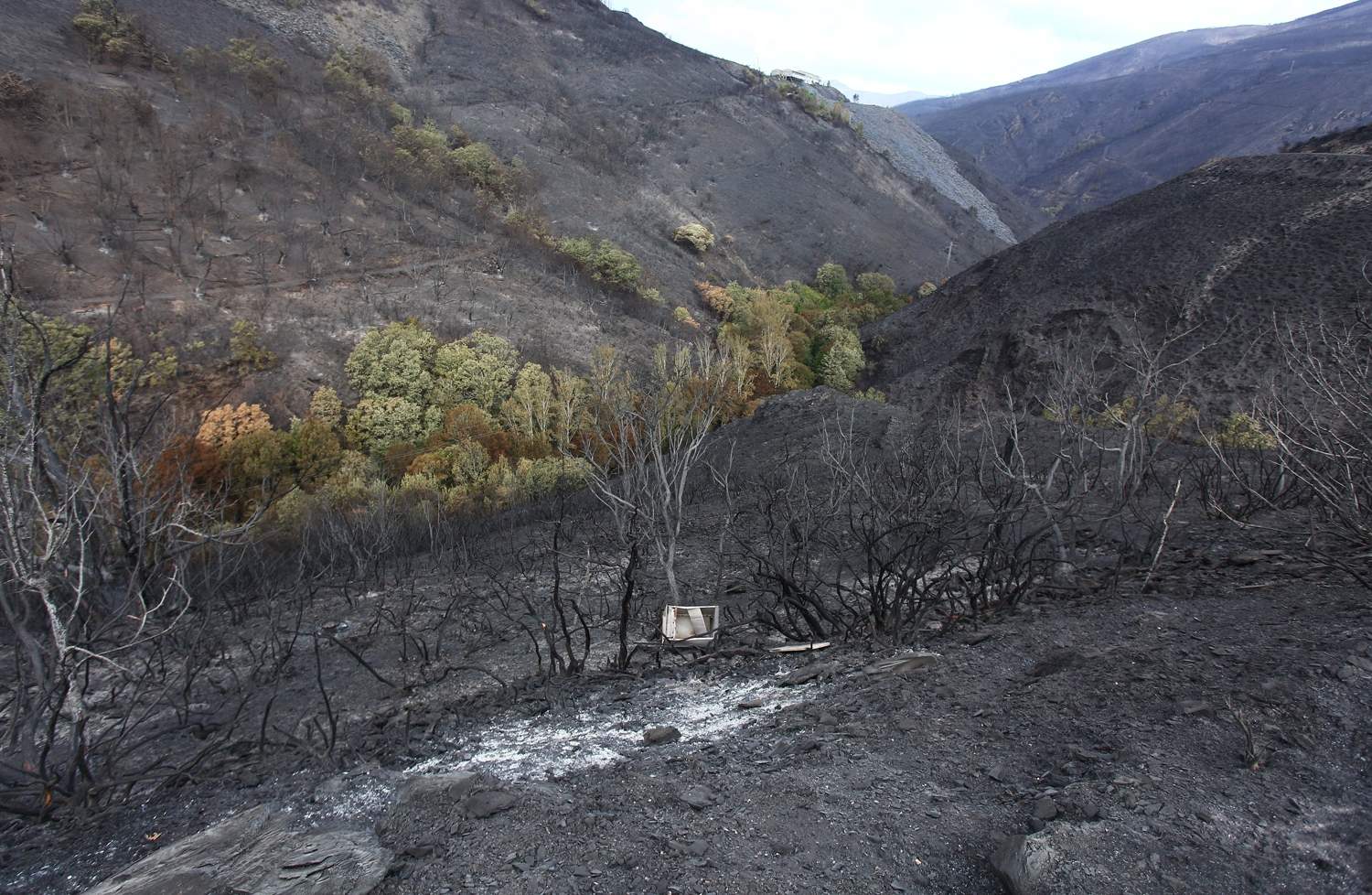 Efectos del incendio de Gestoso en Oencia (7)