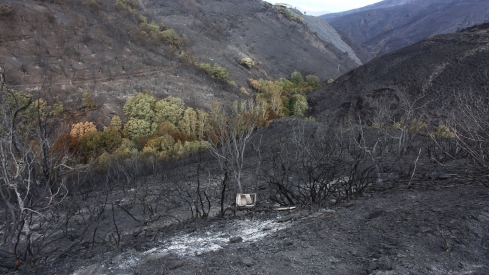 Efectos del incendio de Gestoso en Oencia (7)