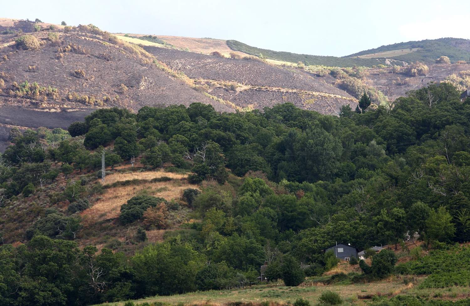 Efectos del incendio de Gestoso en Oencia (8)