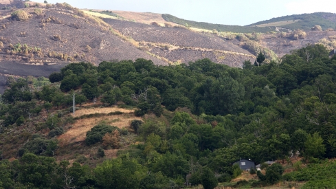 Efectos del incendio de Gestoso en Oencia (8)