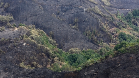 Efectos del incendio de Gestoso en Oencia 
