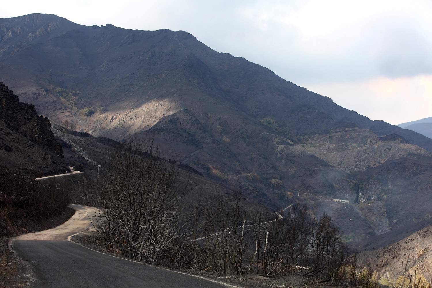 Efectos del incendio de Gestoso en Oencia (10)