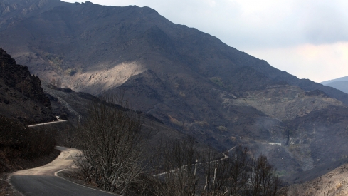 Efectos del incendio de Gestoso en Oencia (10)