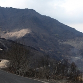 Efectos del incendio de Gestoso en Oencia (10)