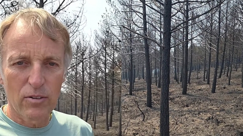 Jesús Calleja sobre los incendios forestales en El Bierzo   Instagram: @jesuscallejatv