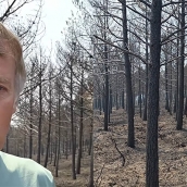 Jesús Calleja sobre los incendios forestales en El Bierzo   Instagram: @jesuscallejatv