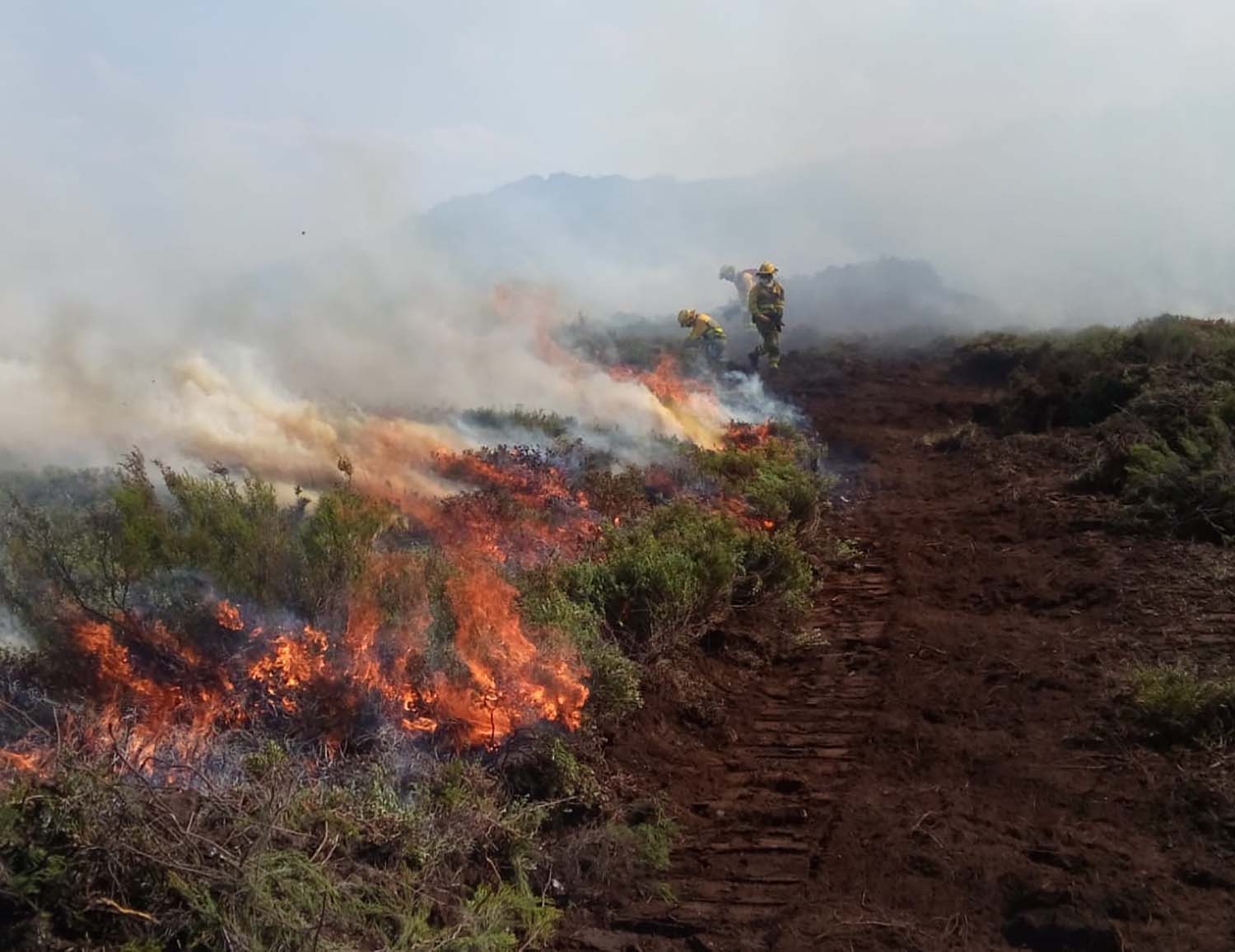 Actuación de las brigadas en Anllares del Sil
