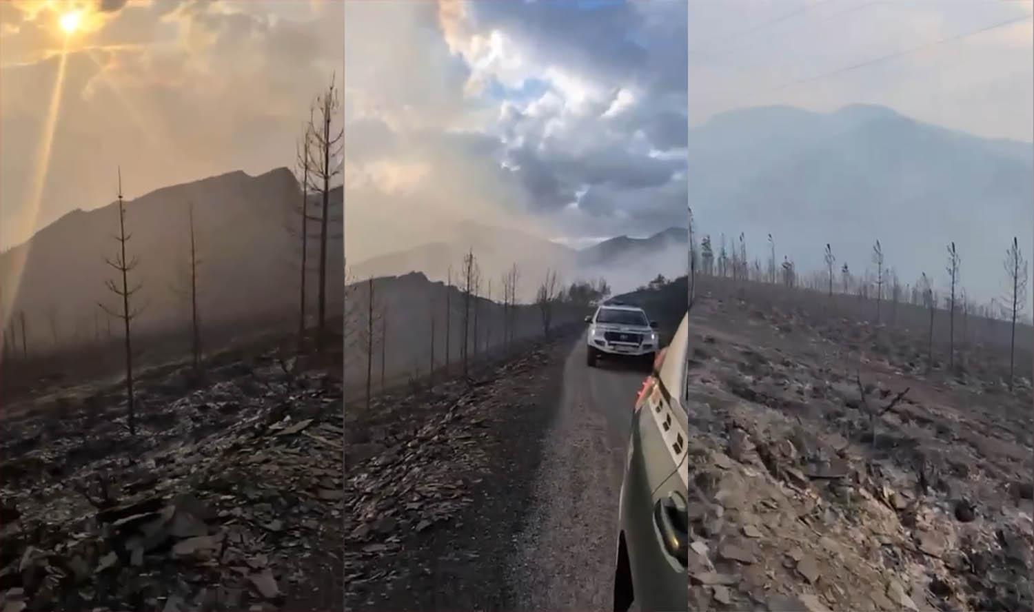 Oencia tras el incendio de Gestoso