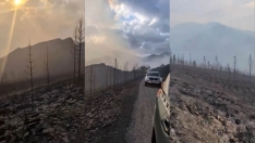 Oencia tras el incendio de Gestoso