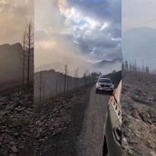 Oencia tras el incendio de Gestoso