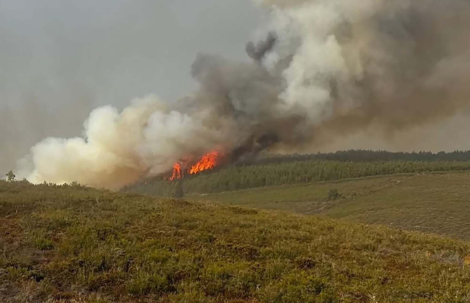 Evacuan Argayo del Sil. Páramo del Sil | Evacuan Argayo del Sil. Páramo del Sil |