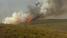 Evacuan Argayo del Sil. Páramo del Sil | 