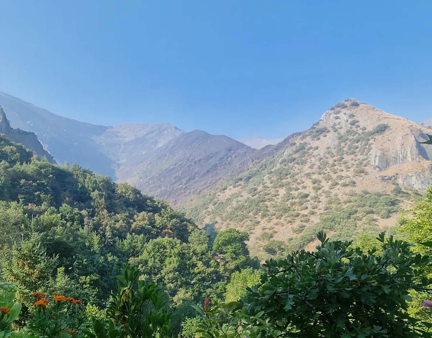Peñalba de Santiago pasa del desalojo al confinamiento urbano ante la evolución del incendio Yeres-Llamas de Cabrera. Cantina de Peñalba