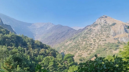 Peñalba de Santiago pasa del desalojo al confinamiento urbano ante la evolución del incendio Yeres-Llamas de Cabrera. Cantina de Peñalba