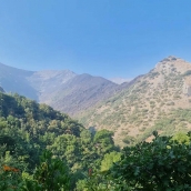 Peñalba de Santiago pasa del desalojo al confinamiento urbano ante la evolución del incendio Yeres-Llamas de Cabrera. Cantina de Peñalba