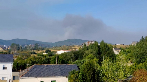 ICAL. Incendio en Argayo del Sil (León), visto desde la localidad de Fabero (León)