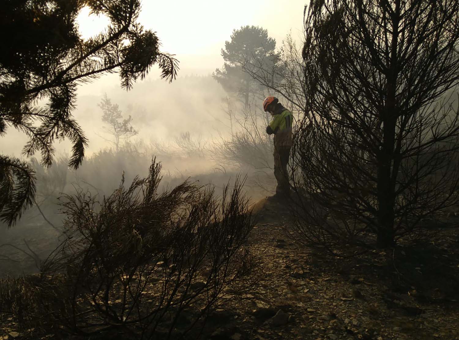 Bomberos Ponferrada en Argayo del Sil
