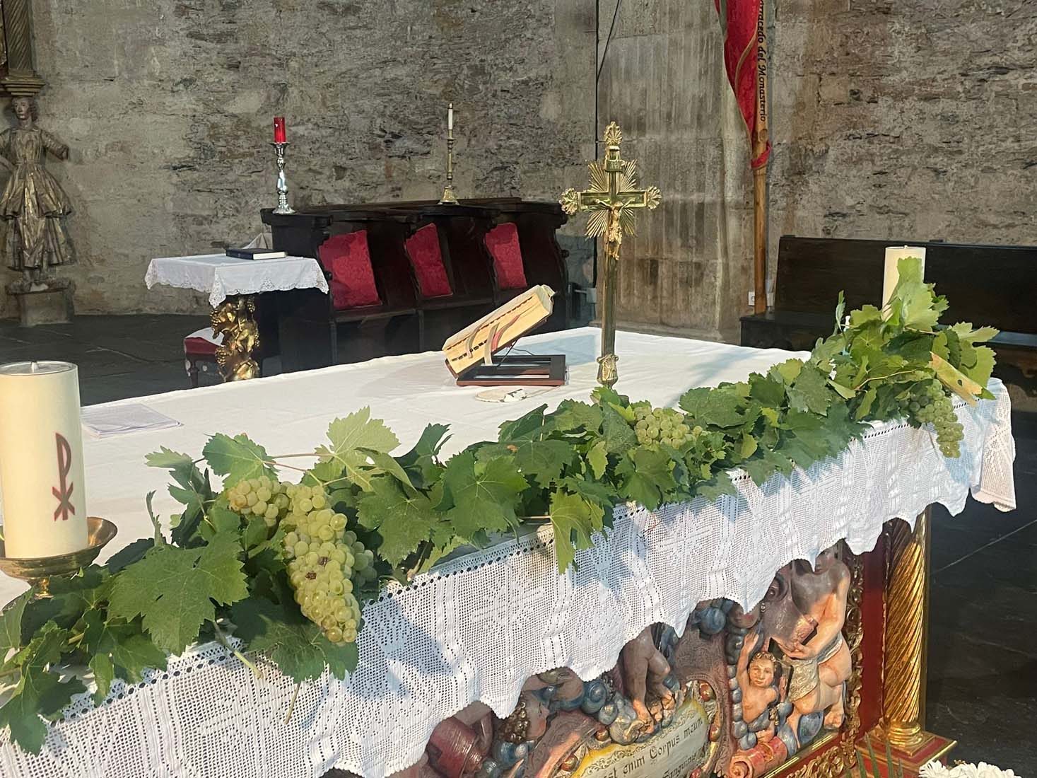 Primer mosto de la vendimia del Bierzo 2025 (7)