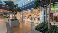 Reubicación de la tienda Springfield en El Rosal.