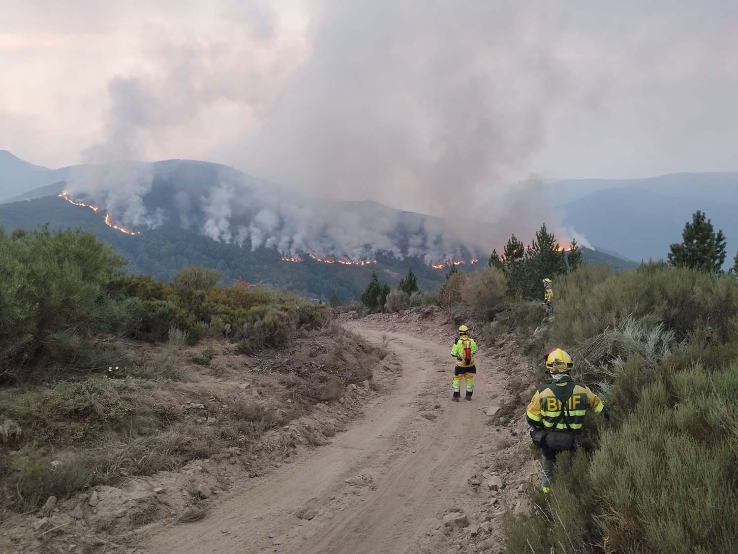 BRIF Tabuyo en el Incendio de igueña BRIF Tabuyo en el Incendio de igueña