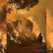 Brif Tabuyo esta noche en el incendio de Colinas del Campo/Fasgar